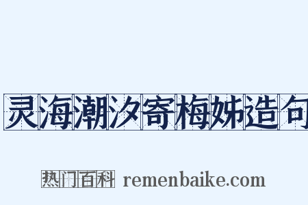 灵海潮汐寄梅姊造句是什么意思的图片